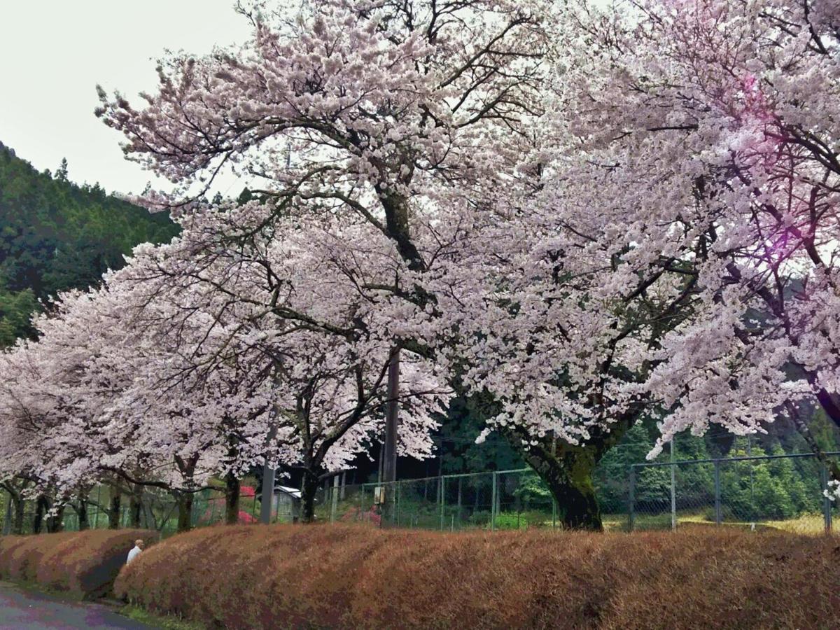 Momijigawa Onsen Hotel Naka ภายนอก รูปภาพ